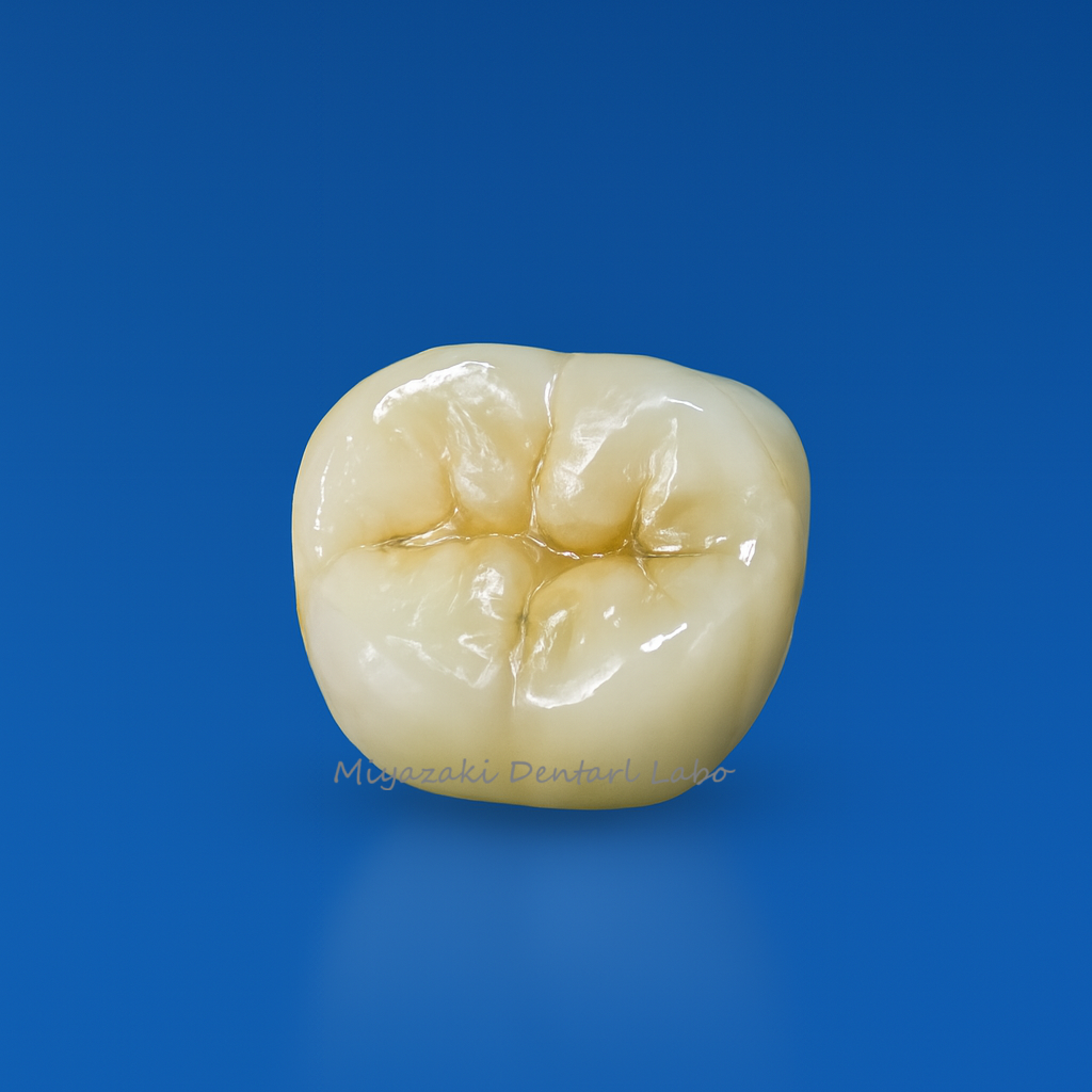 ジルコニア下顎6